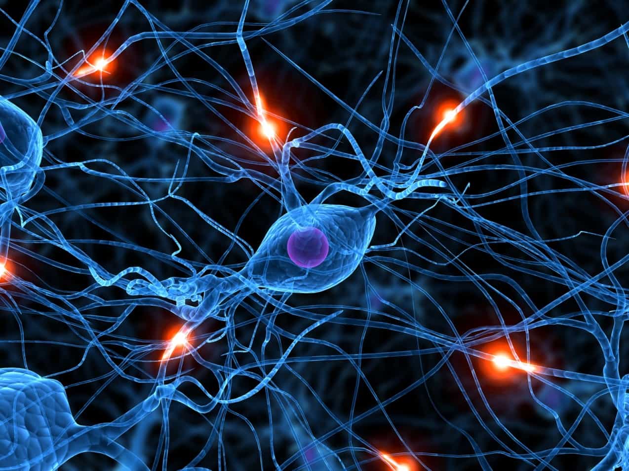 neuroscience of binge eating